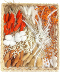xin's convey DIY Autumn Natural Dried Flower Kit, Mini Stemming Bouquets by xinsconvey