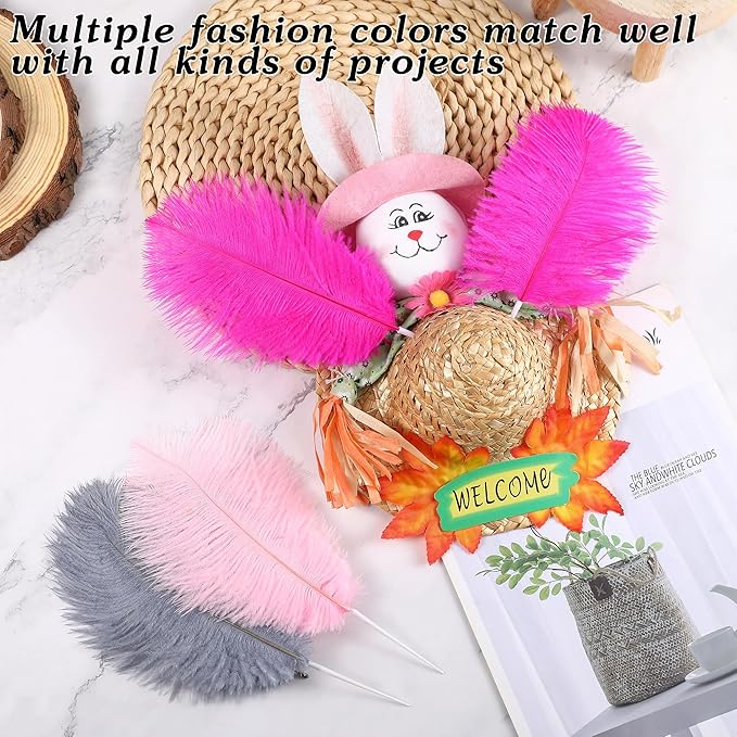 SOGUGOM Fuchisa Craft Ostrich Feathers - Image 4