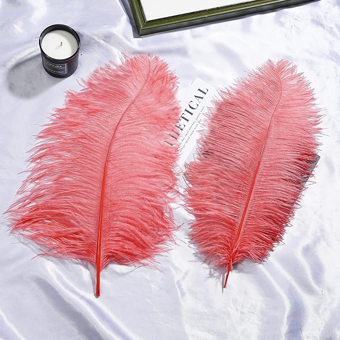 Larryhot Red Large Ostrich Feathers - Image 6