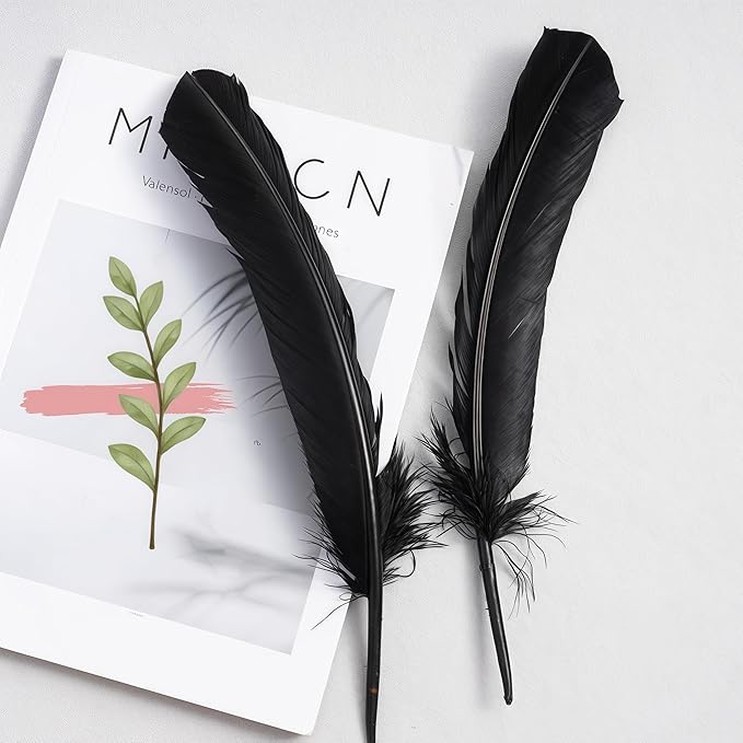 Black Turkey Feathers, Turkish Feather - Image 6