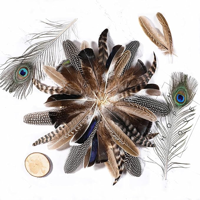 Holmgren 48pcs Natural Feathers Bulk - Image 4