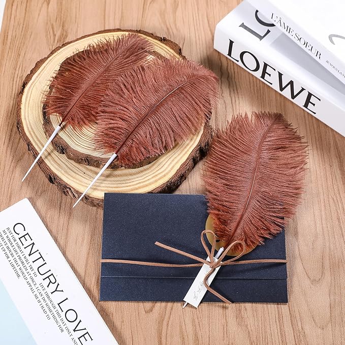 SOGUGOM Brown Craft Ostrich Feathers - Image 6