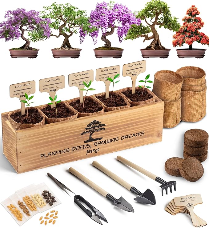 AVERGO Bonsai Tree Kit for Beginners – 5X Unique Japanese Bonzai Trees | by Plantingseedsgrowingdreams