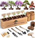 AVERGO Bonsai Tree Kit for Beginners – 5X Unique Japanese Bonzai Trees | by Plantingseedsgrowingdreams