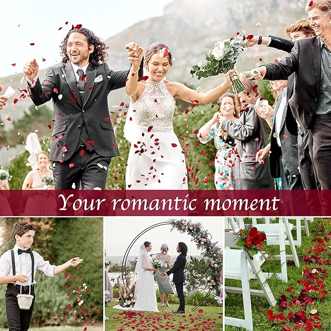180 PCS Dried Real Red Rose Flower Petals Confetti - Image 5