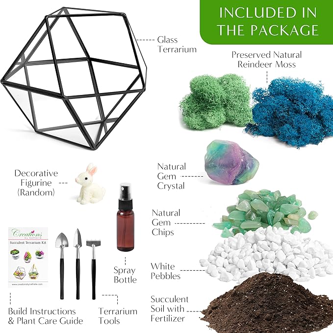 DIY 7" Geometric Terrarium Kit - Image 3