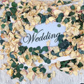 Oning 20+ Cups of Mix Dried Bio Flower Rose Petals Confetti, 2 QT Ivory White by Oning