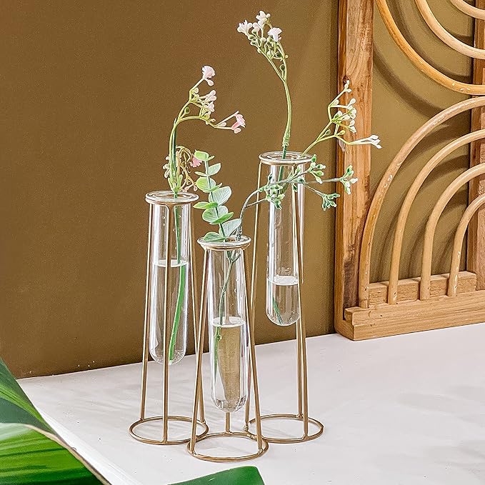 Propagation Station Terrariums - Image 5