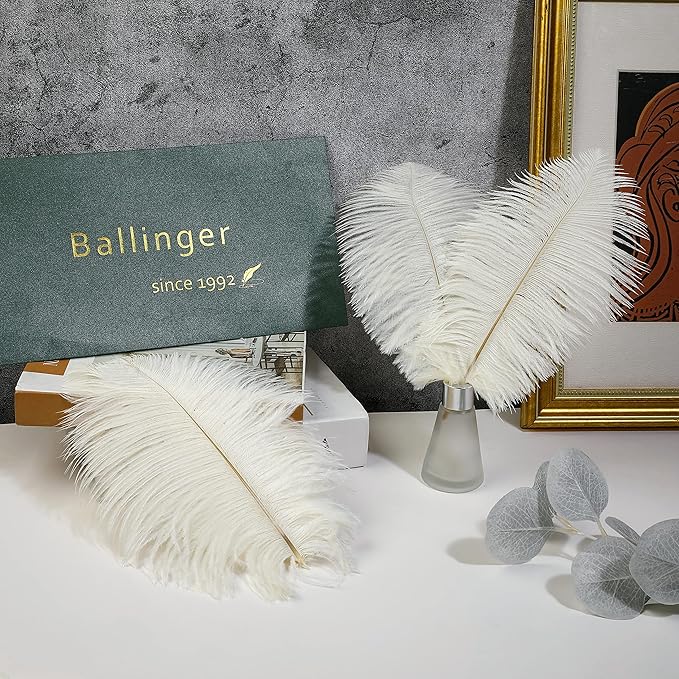 Ballinger Beige Ostrich Feathers Bulk - Image 4