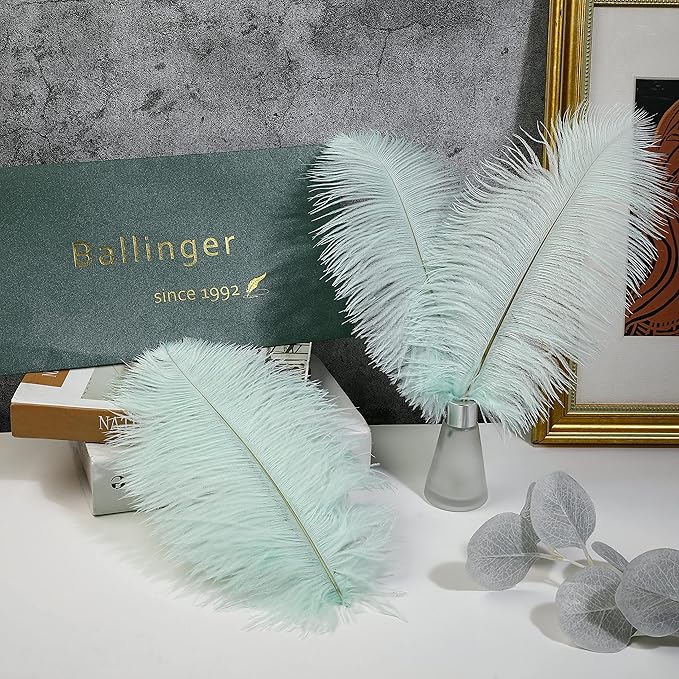 Ballinger Aqua Green Ostrich Feathers - Image 4