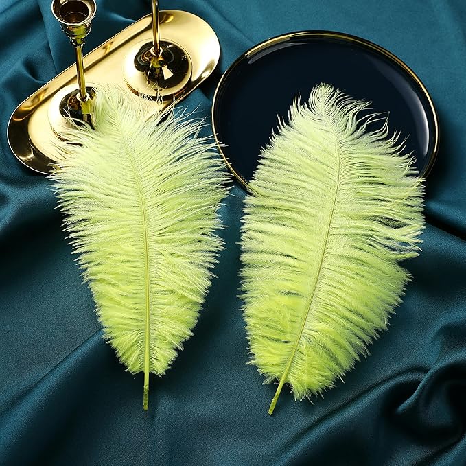 Ballinger Fluorescent Yellow Ostrich Feathers - Image 5